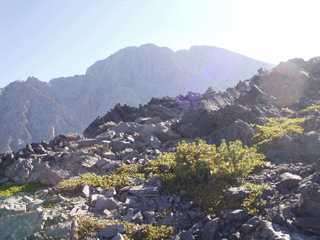 First sunlight at 9 am.