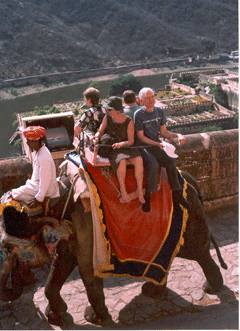 Elephant ride up the hill to the Amber Fort near Jaipur.