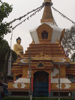 Buddha and Stupa. There were hundreds of prayer wheels here. 
