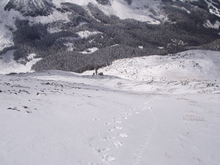 Followed my tracks down.