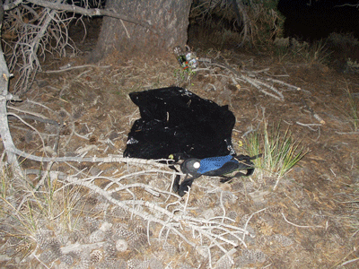 My nest for the night.