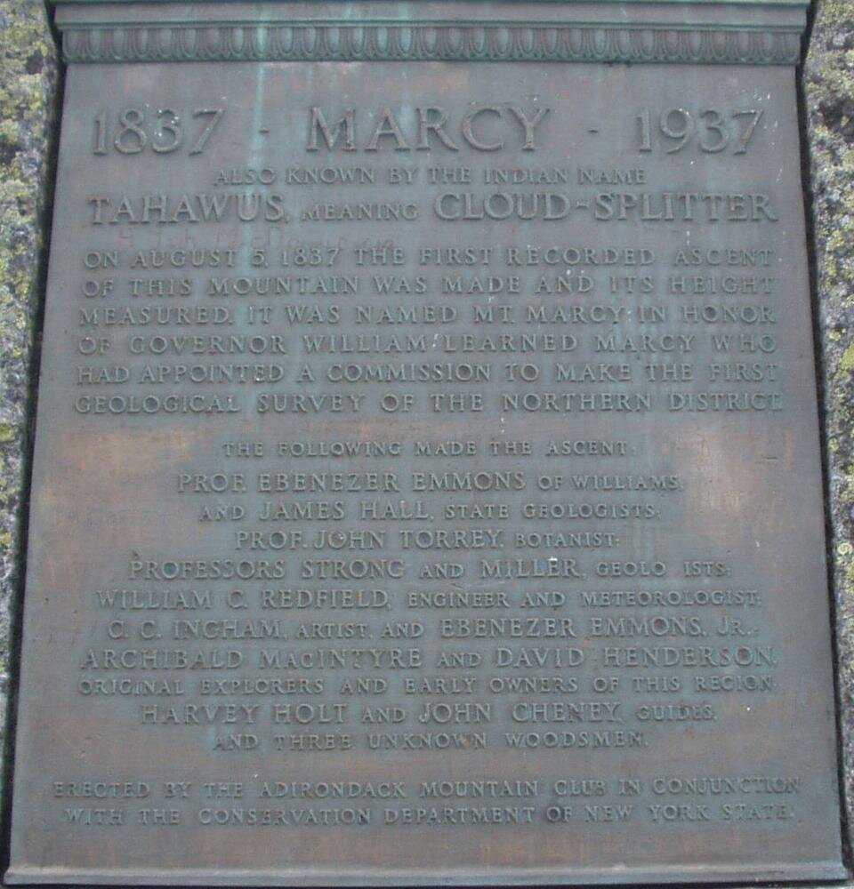 Plaque
